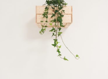 federica-galli-571119-unsplash-min