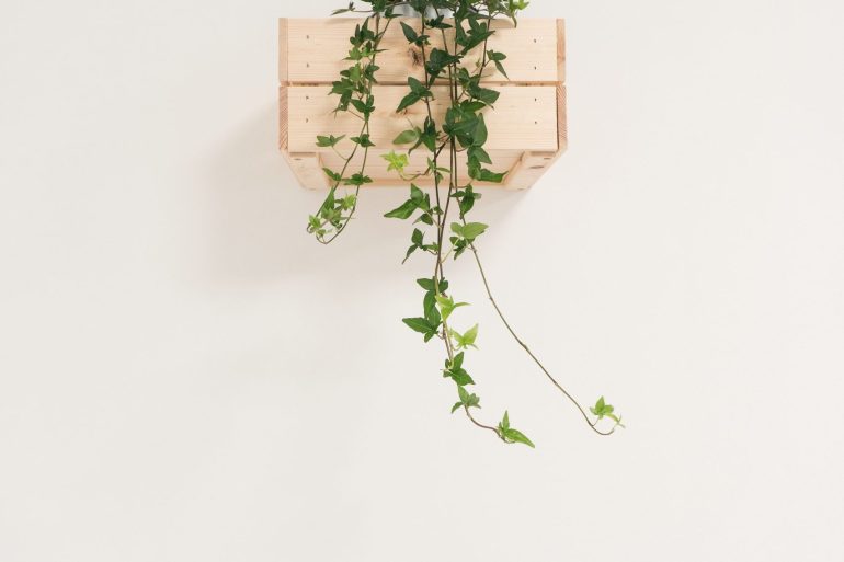 federica-galli-571119-unsplash-min