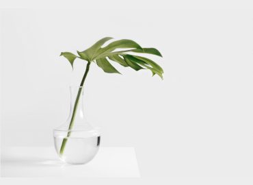 sarah-dw123483-unsplash-min
